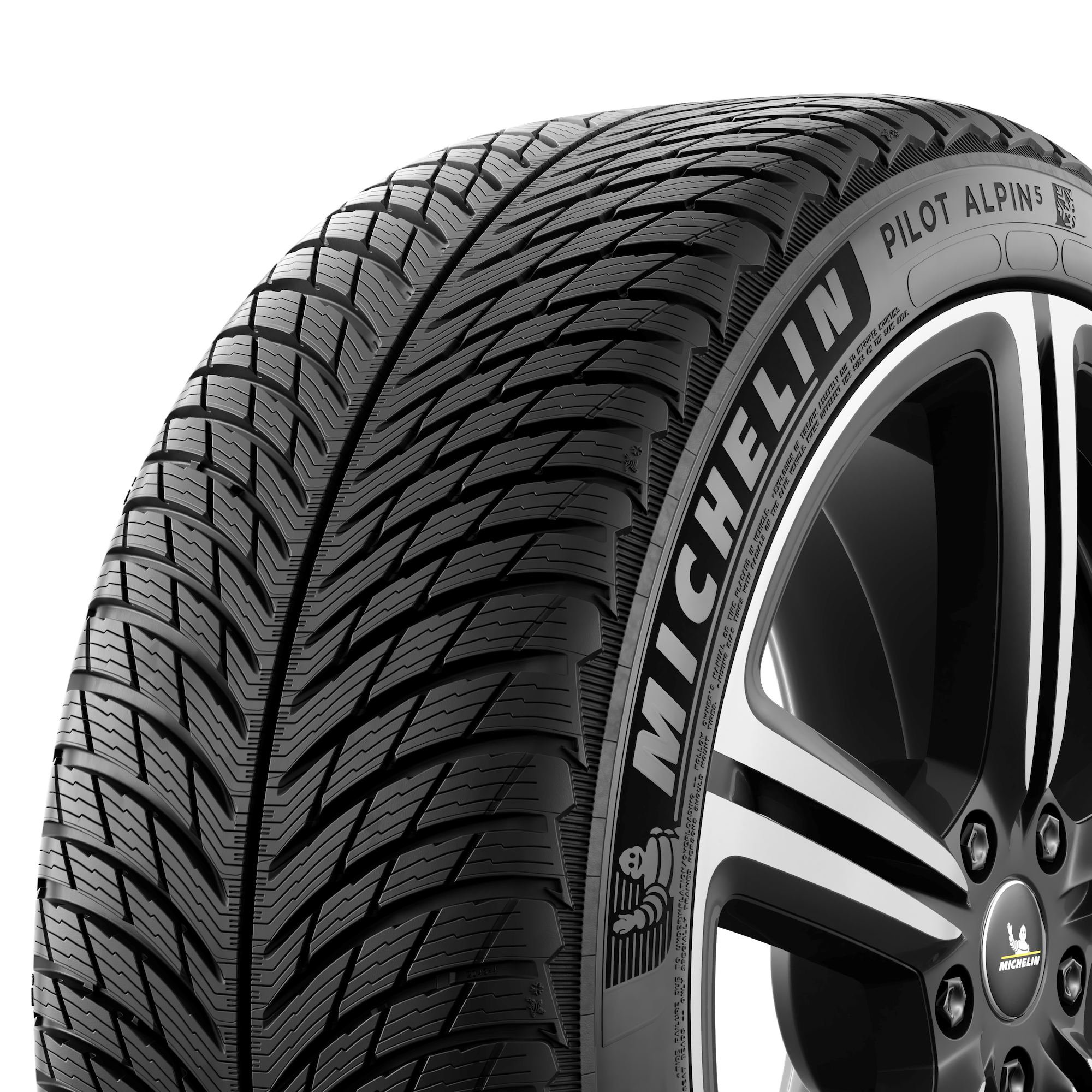 �������� 245/45 R19 102V XL PILOT ALPIN 5 �� �������� ���-������