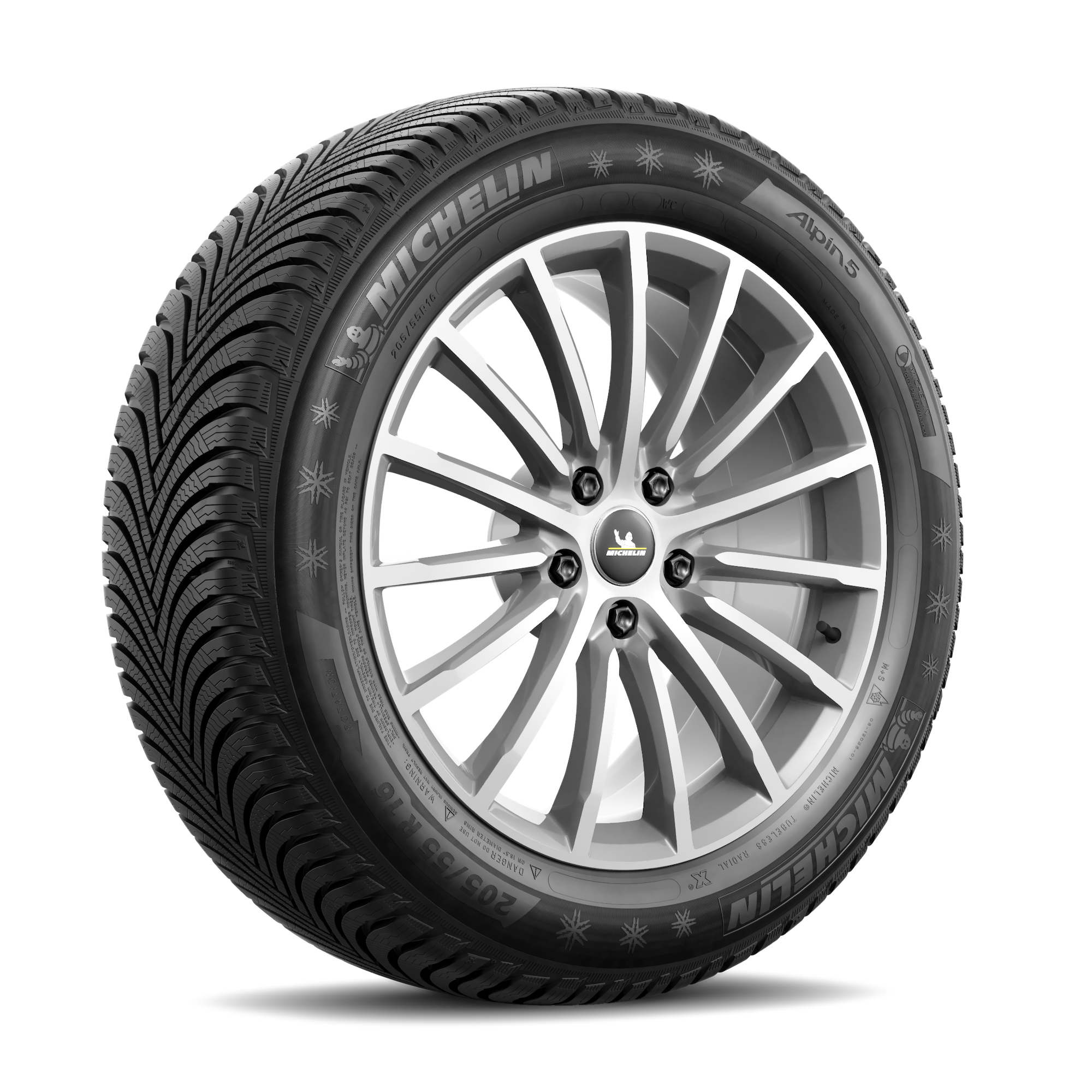 �������� 205/55 R16 91H ALPIN 5 ZP �� �������� ���-������